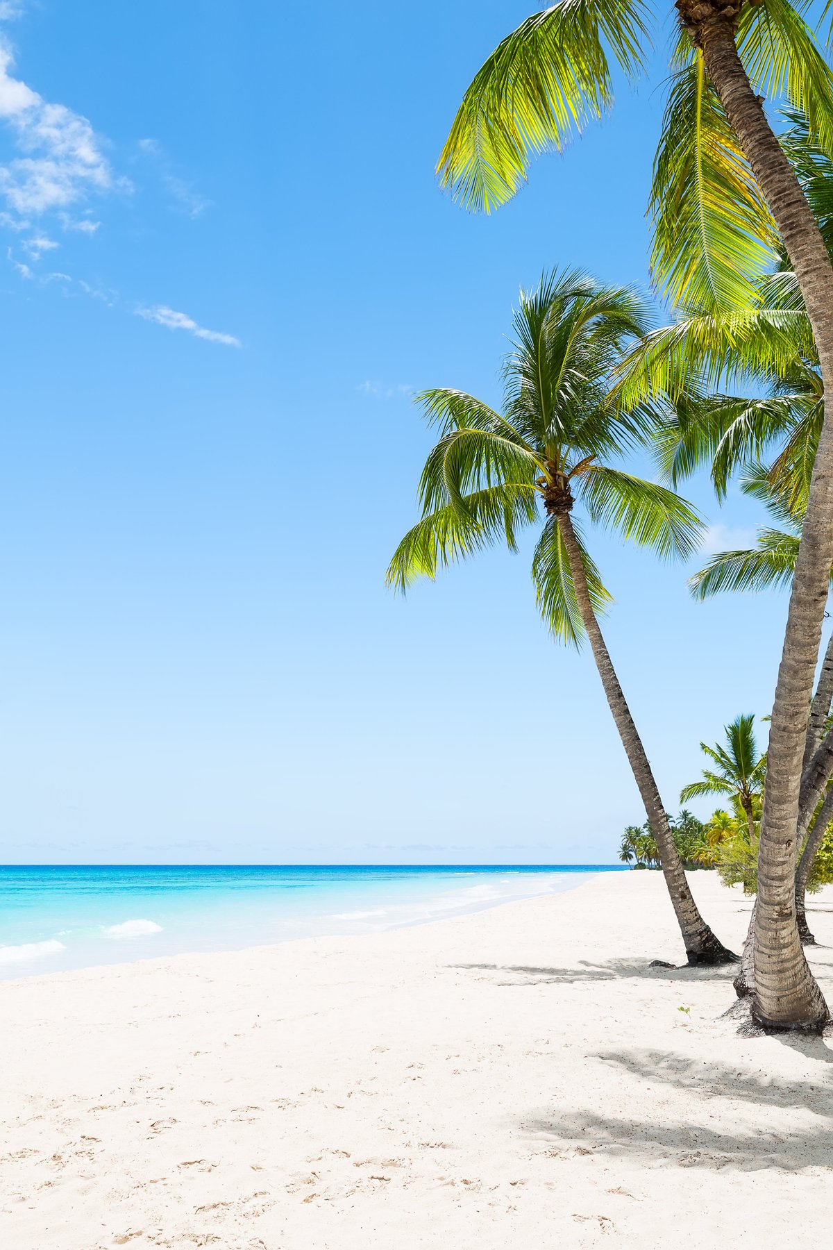 Costa del sureste mexicano con arena blanca y palmeras sobre el mar Caribe